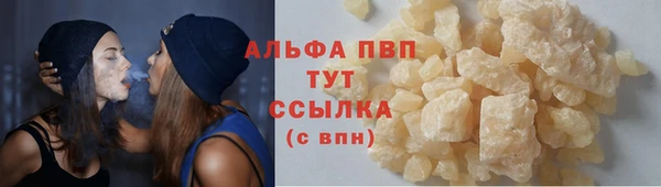 гашик Осташков