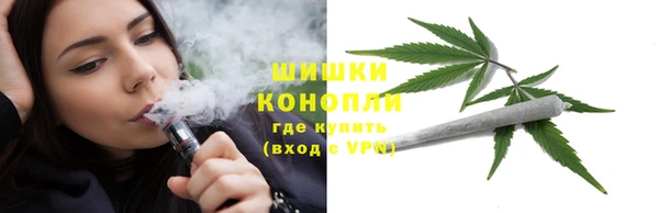 гашик Осташков