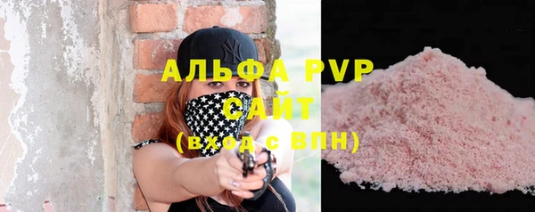 гашик Осташков