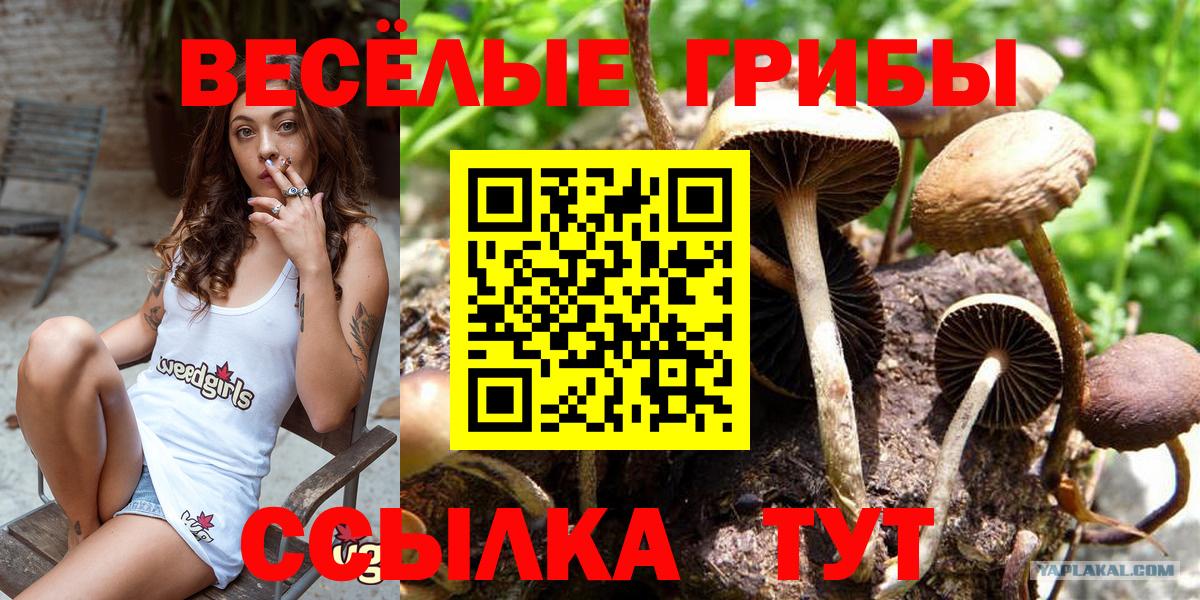 Псилоцибиновые грибы ЛСД  Псилоцибиновые грибы GOLDEN TEACHER  Вход с VPN  Ревда 